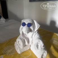 фото из отзыва ID 2674304