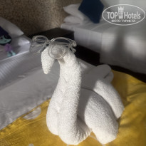 фото из отзыва ID 2674304