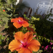 фото из отзыва ID 2674304