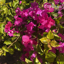 фото из отзыва ID 2674304