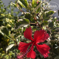 фото из отзыва ID 2674304