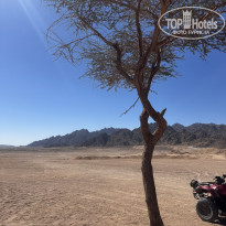 фото из отзыва ID 2674304