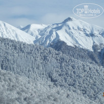 фото из отзыва ID 2674379