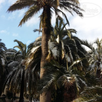 фото из отзыва ID 2674379