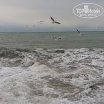 фото из отзыва ID 2674379