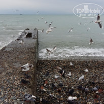 фото из отзыва ID 2674379