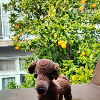 фото из отзыва ID 2674420