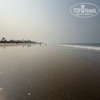 фото из отзыва ID 2674426