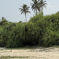 фото из отзыва ID 2674426