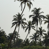 фото из отзыва ID 2674426