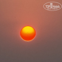 фото из отзыва ID 2674426