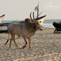 фото из отзыва ID 2674426