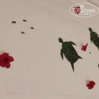 фото из отзыва ID 2674428