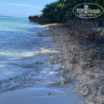 фото из отзыва ID 2674432