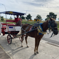 фото из отзыва ID 2674432