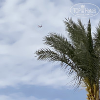 фото из отзыва ID 2674529