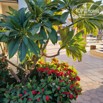 фото из отзыва ID 2674547