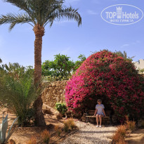 фото из отзыва ID 2674547