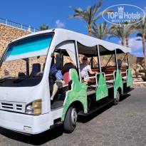 фото из отзыва ID 2674547