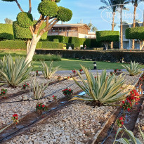 фото из отзыва ID 2674547