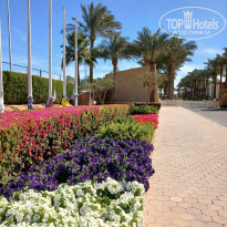 фото из отзыва ID 2674547