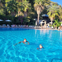 фото из отзыва ID 2674570