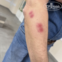 фото из отзыва ID 2674611