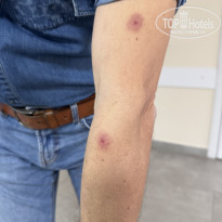 фото из отзыва ID 2674611