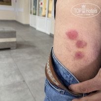 фото из отзыва ID 2674611