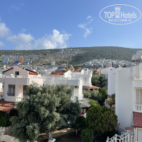 фото из отзыва ID 2674636