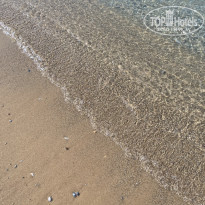 фото из отзыва ID 2674636