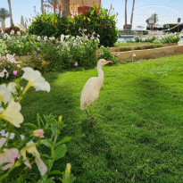 фото из отзыва ID 2674639