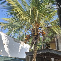 фото из отзыва ID 2674637