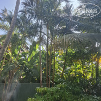 фото из отзыва ID 2674637