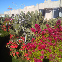 фото из отзыва ID 2674643