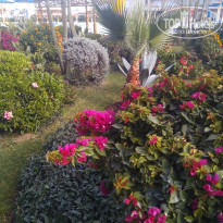 фото из отзыва ID 2674643