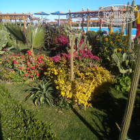 фото из отзыва ID 2674643