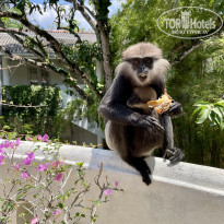 фото из отзыва ID 2674691