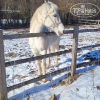 фото из отзыва ID 2674717