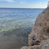 фото из отзыва ID 2674728