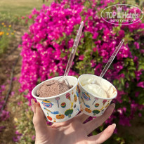 фото из отзыва ID 2674728