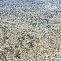 фото из отзыва ID 2674057