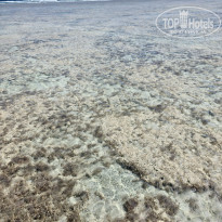 фото из отзыва ID 2674057