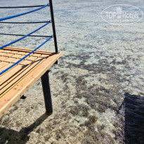 фото из отзыва ID 2674057