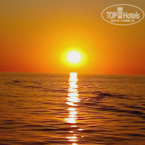 фото из отзыва ID 2674774