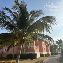 фото из отзыва ID 2674886