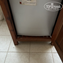 фото из отзыва ID 2674920