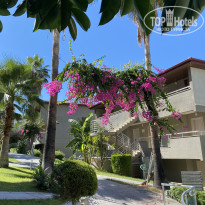 фото из отзыва ID 2674930