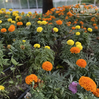 фото из отзыва ID 2674930