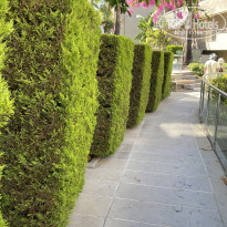 фото из отзыва ID 2674930